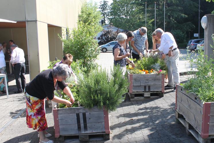 Betonwüste mit grünen Tupfern