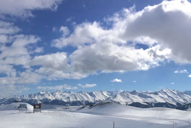 Groseli schaut vom Himmel herunter