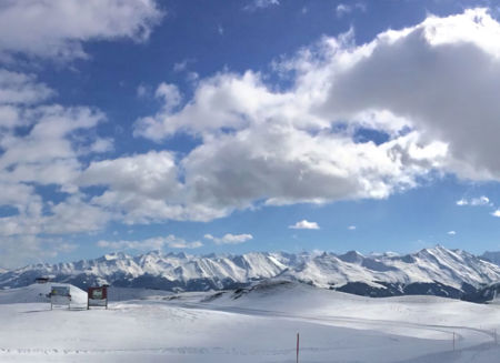 Groseli schaut vom Himmel herunter