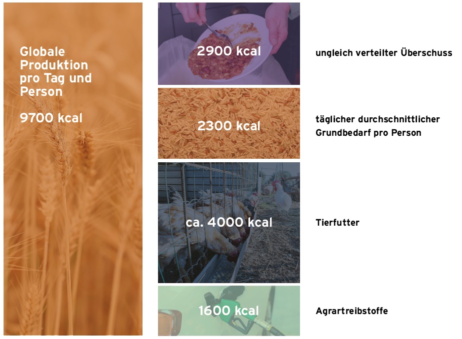 Was mit den weltweit durch die Landwirtschaft produzierten Kalorien geschieht. | Quelle: Heks