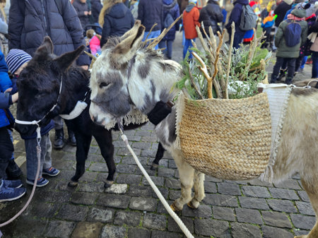 Weihnachtsreise hat sich etabliert