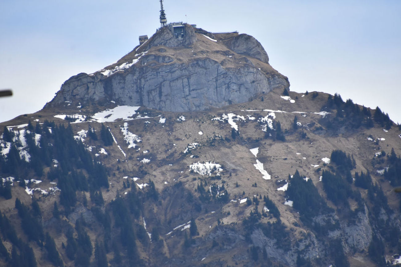 Was sieht die Kröte? Wann klettert sie vom Berg? | Foto: Isabelle Kürsteiner 