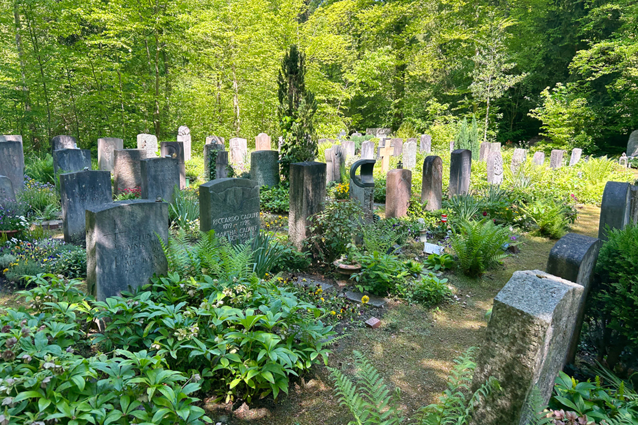 Der älteste Waldfriedhof der Schweiz in Schaffhausen birgt viele interessante Geschichten. | Foto: zvg